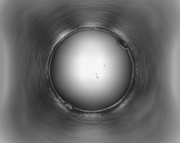 X0000086801129200704271845