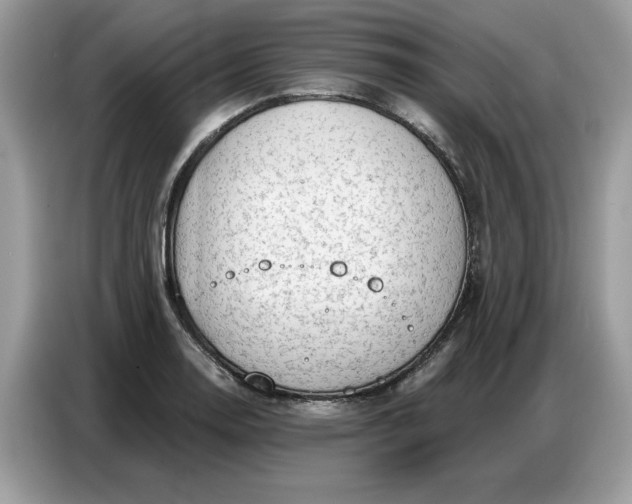 X0000086801130200704271845