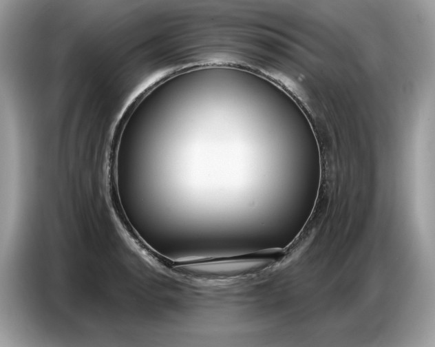 X0000086801134200704271845