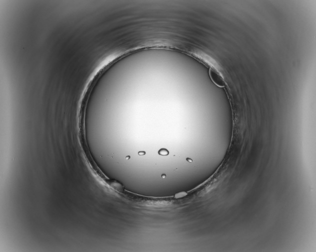 X0000086801135200704271845