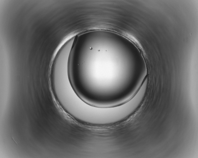 X0000086801138200704271845