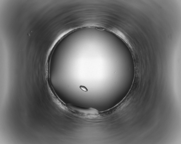 X0000086801140200704271845