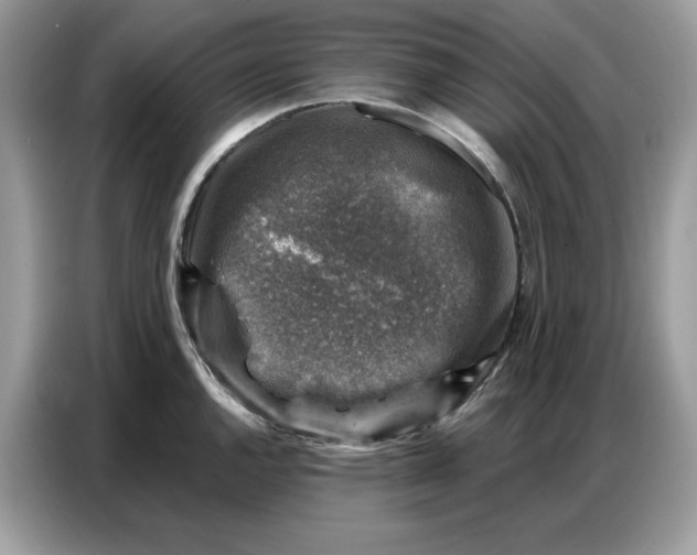 X0000086801144200704271845