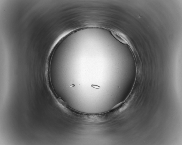 X0000086801149200704271845