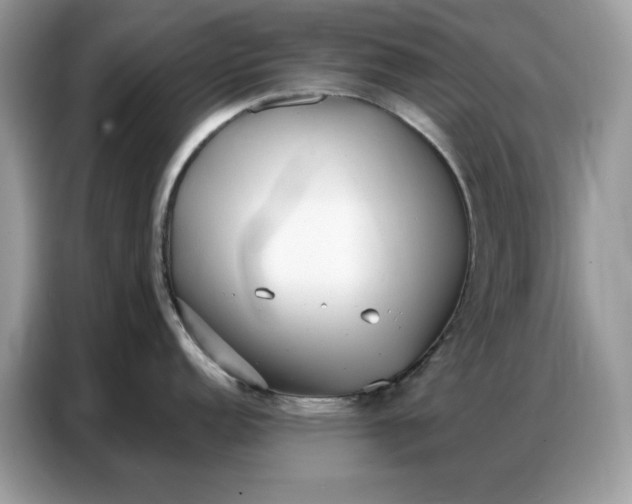 X0000086801152200704271845