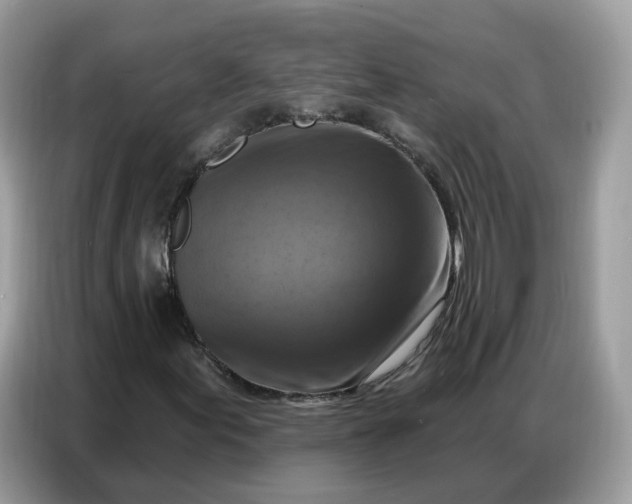 X0000086801155200704271844