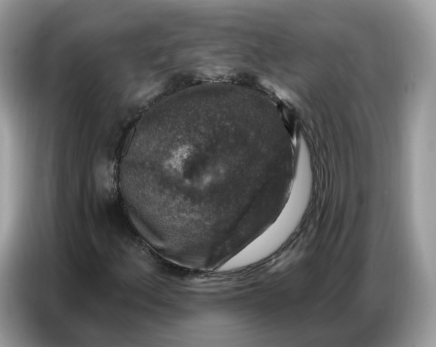 X0000086801156200704271844