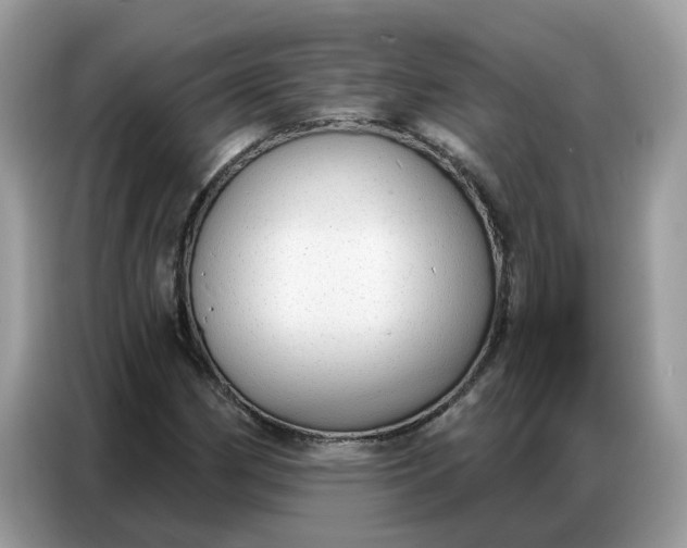 X0000086801162200704271844