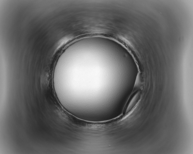 X0000086801163200704271844