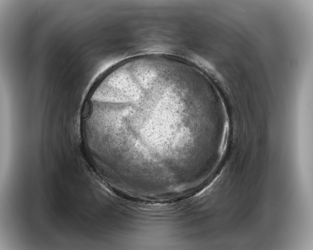 X0000086801174200704271844