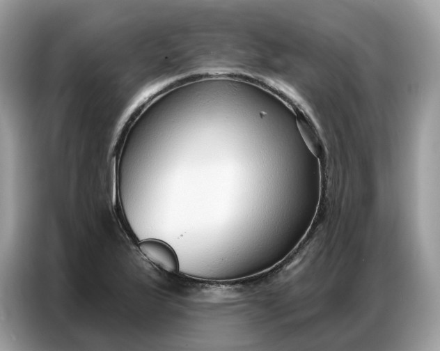 X0000086801175200704271844