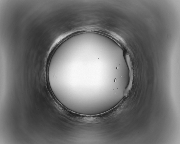 X0000086801176200704271844