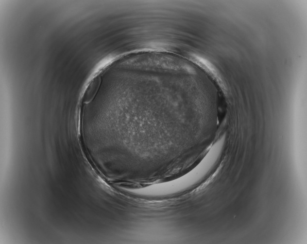 X0000086801180200704271844