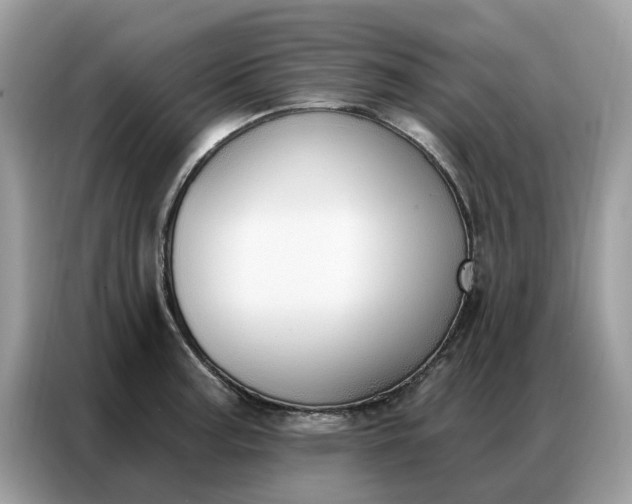 X0000086801187200704271844