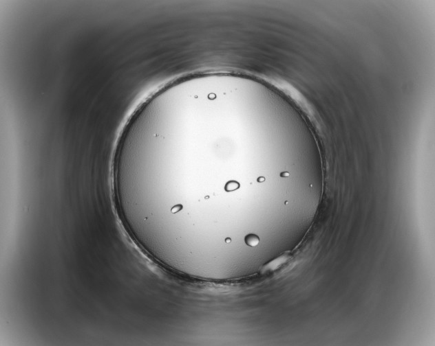 X0000086801191200704271844