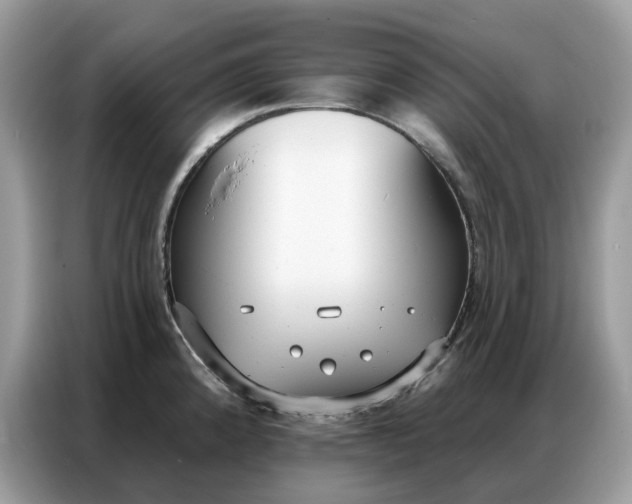 X0000086801192200704271844