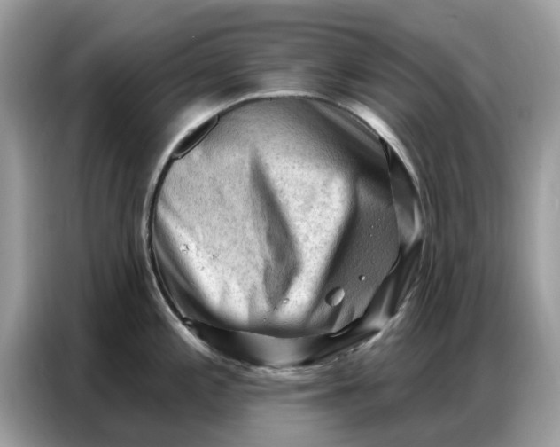 X0000086801197200704271844