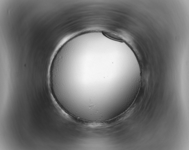 X0000086801199200704271844