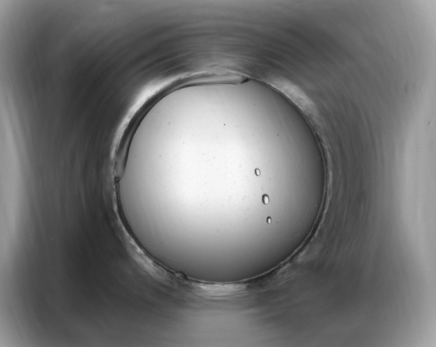 X0000086801200200704271844