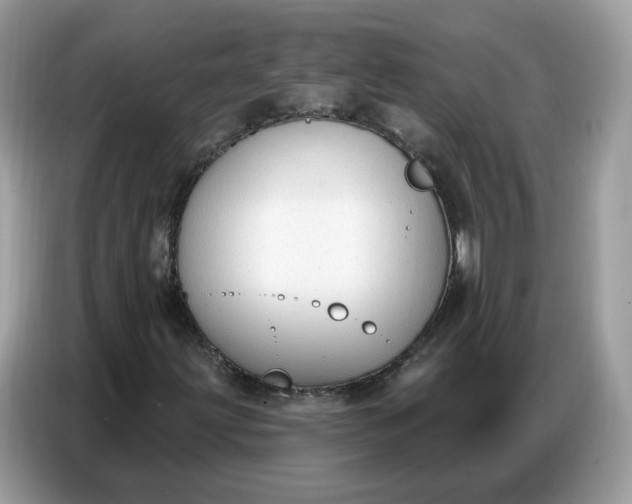 X0000086801203200704271843