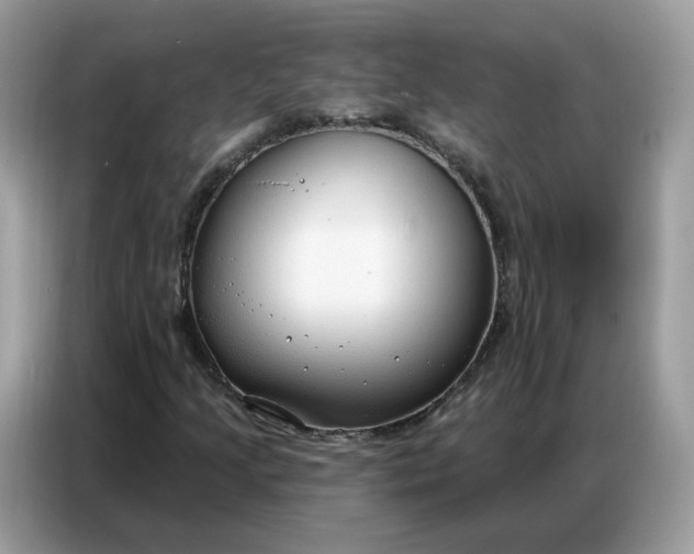 X0000086801205200704271843