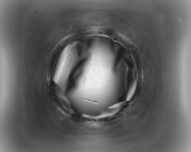 X0000086801206200704271843