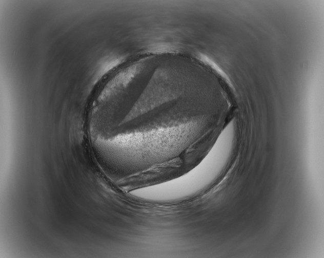 X0000086801213200704271843