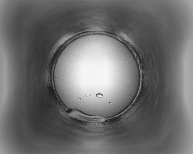 X0000086801215200704271843