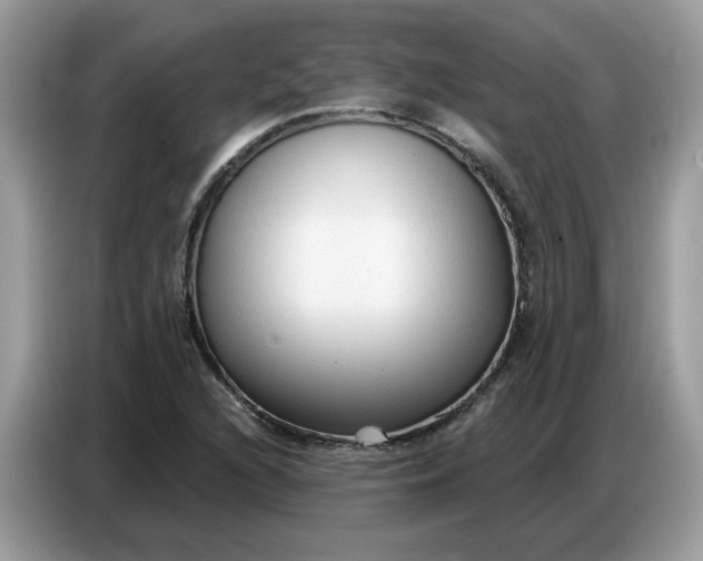 X0000086801216200704271843