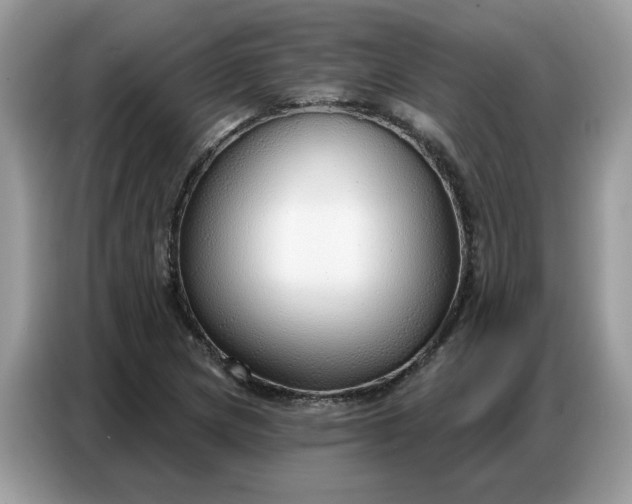 X0000086801217200704271843