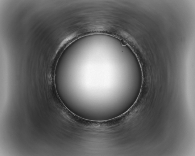 X0000086801218200704271843