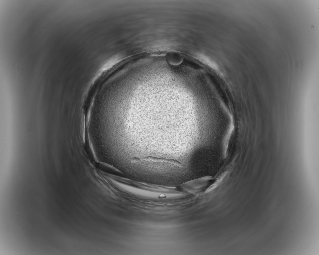 X0000086801219200704271843