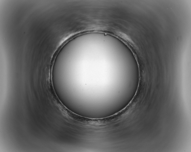 X0000086801220200704271843