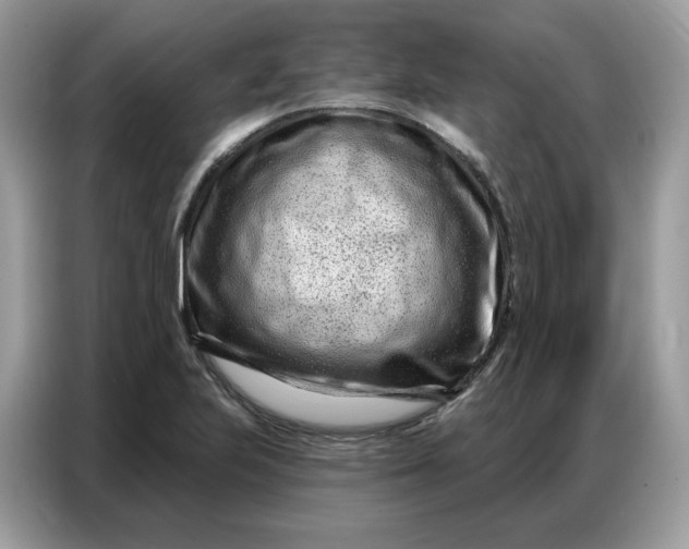 X0000086801223200704271843