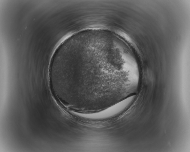 X0000086801229200704271844