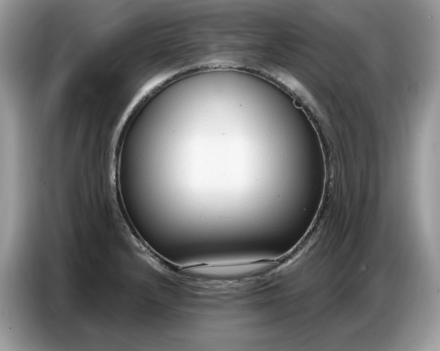 X0000086801232200704271844