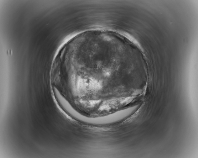 X0000086801239200704271844