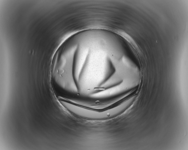 X0000086801244200704271844