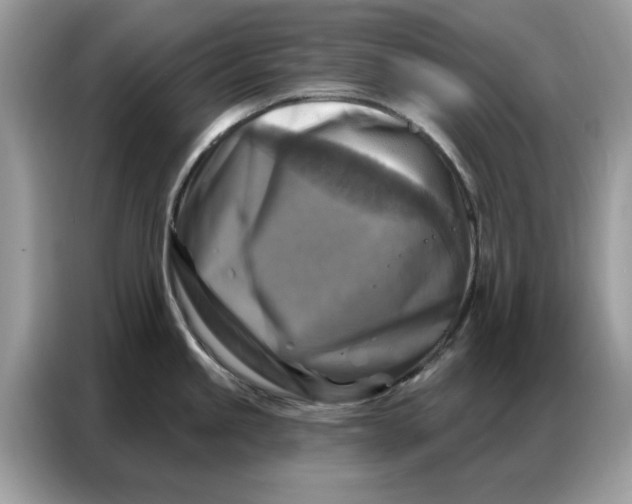 X0000086801245200704271844