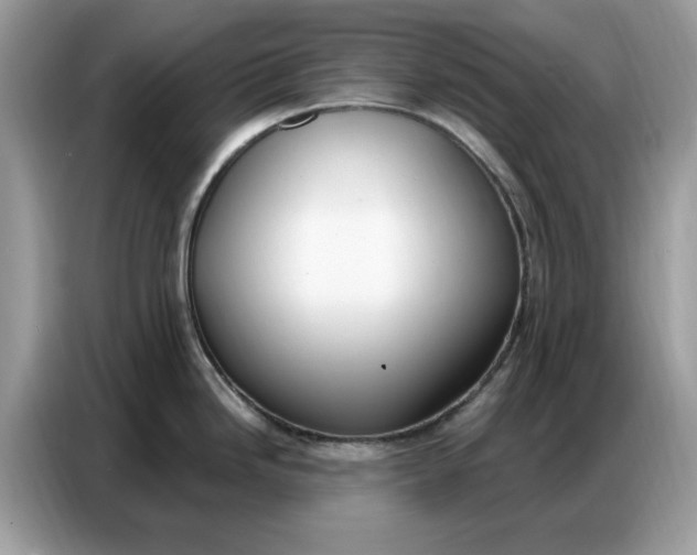 X0000086801246200704271844