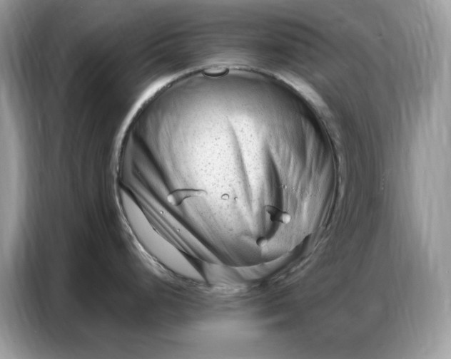 X0000086801248200704271844