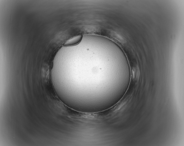 X0000086801251200704271843