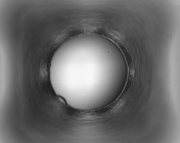 X0000086801252200704271843