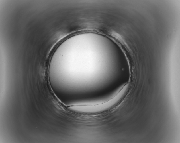 X0000086801260200704271843