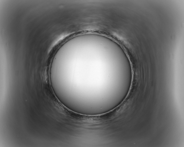 X0000086801262200704271843