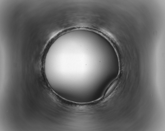 X0000086801264200704271843