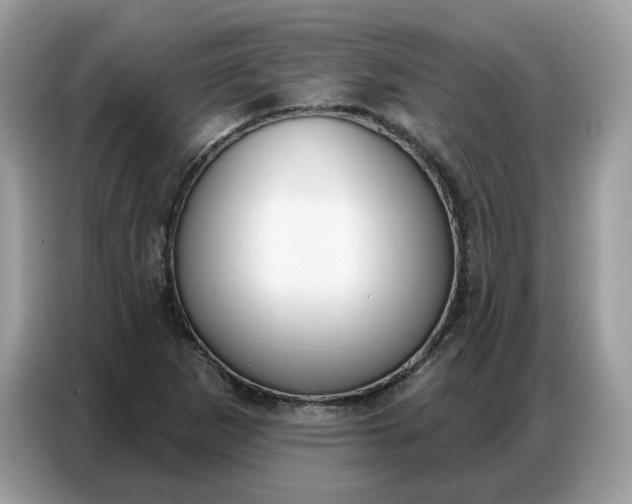 X0000086801265200704271843