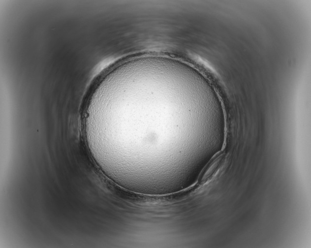 X0000086801267200704271843