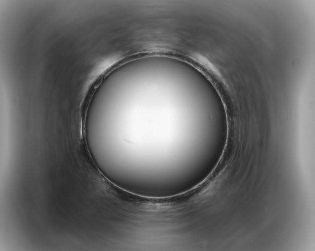 X0000086801269200704271843