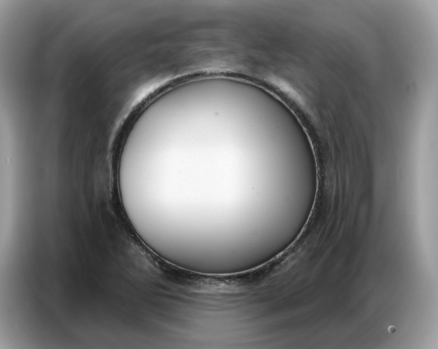 X0000086801270200704271843